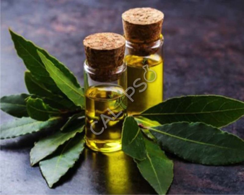 Bay Leaf Oil