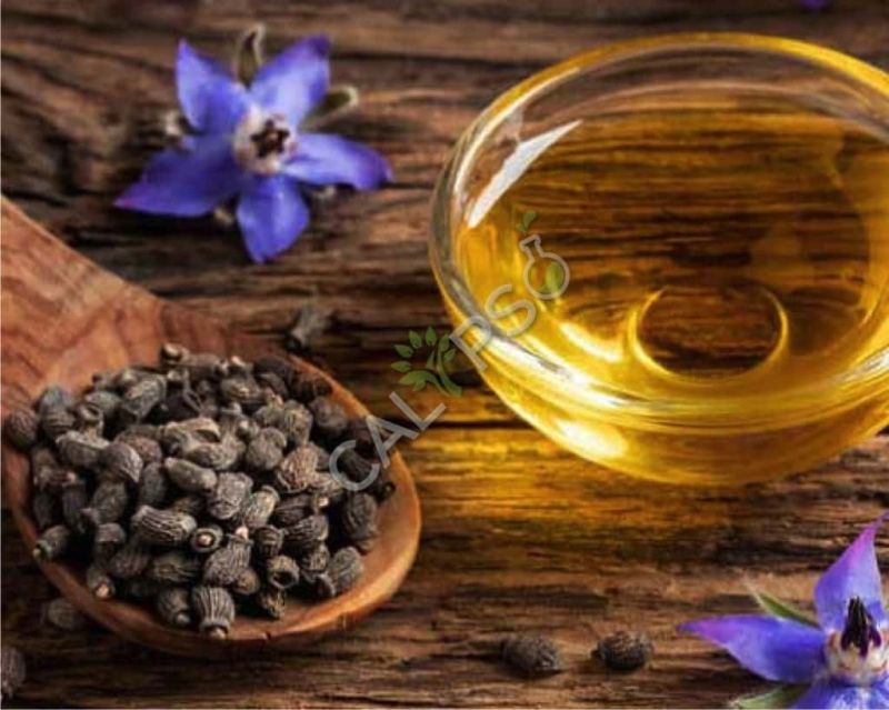 Borage Carrier Oil