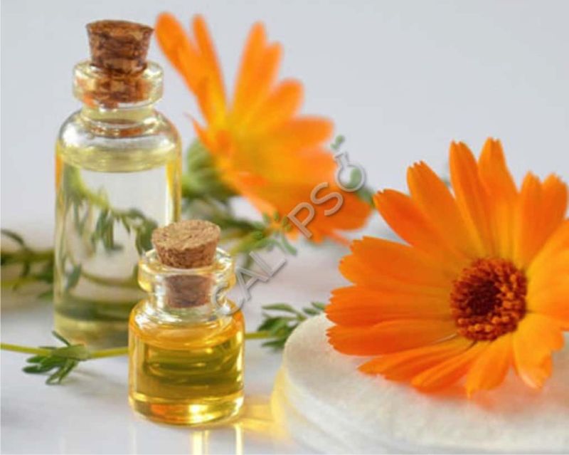 Broom Genet Absolute Oil