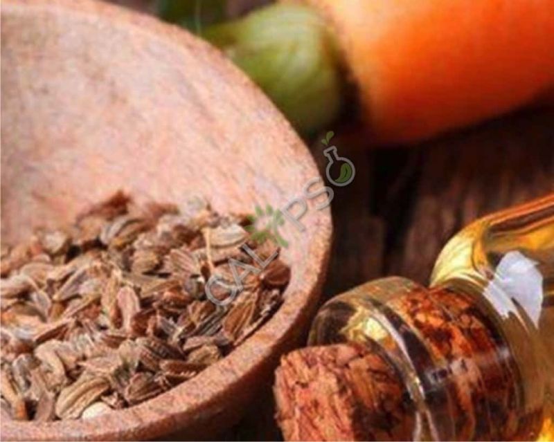 Carrot Seed Oil