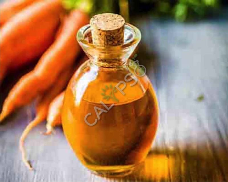 Carrot Tissue Infused Oil