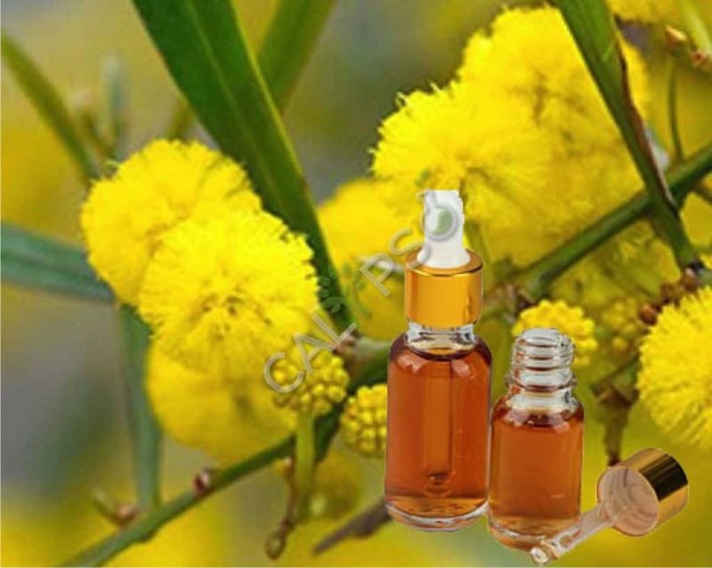 Cassie Flower Absolute Oil