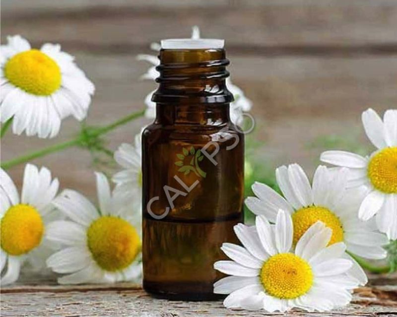 Chamomile German Oil