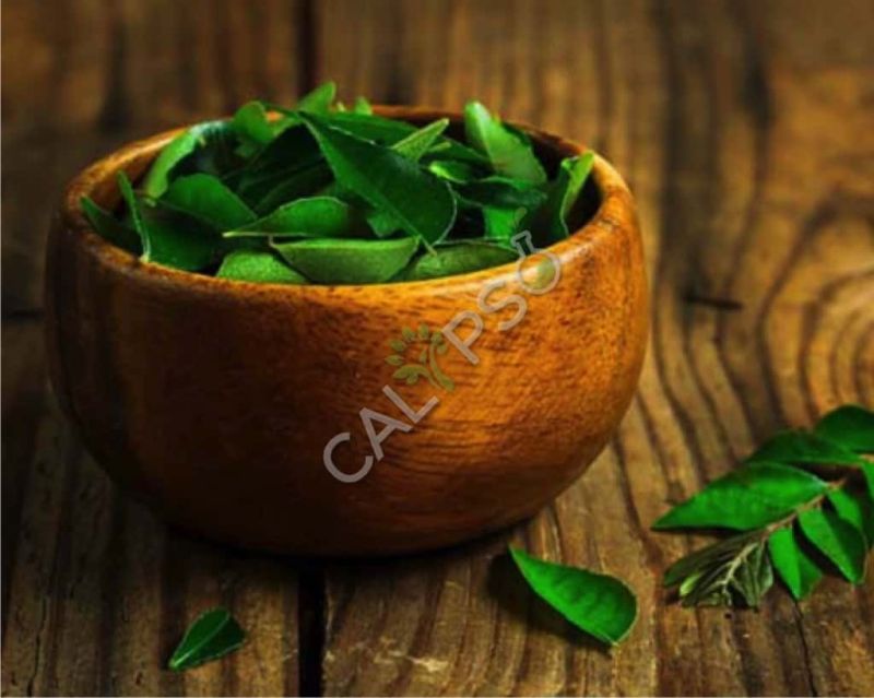 Curry Leaf Oil