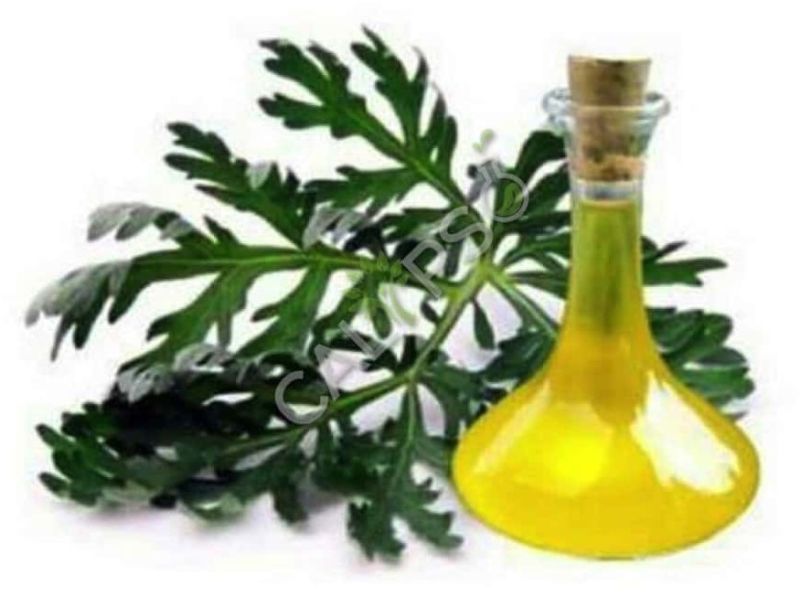 Davana Oils