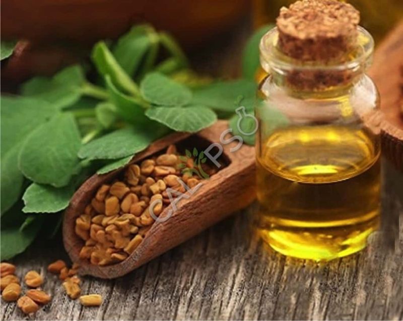 Fenugreek Oil