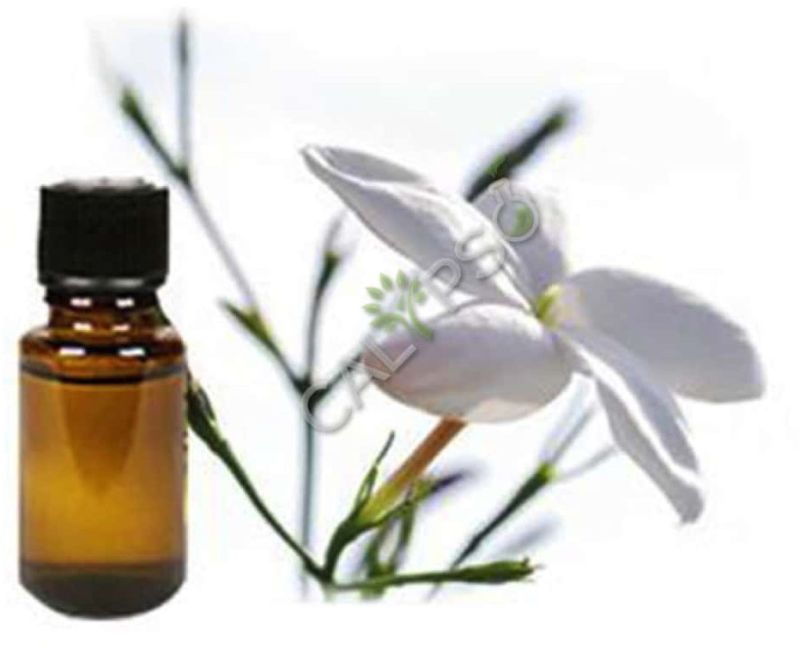 Jasmine Grandiflorum Absolute Oil