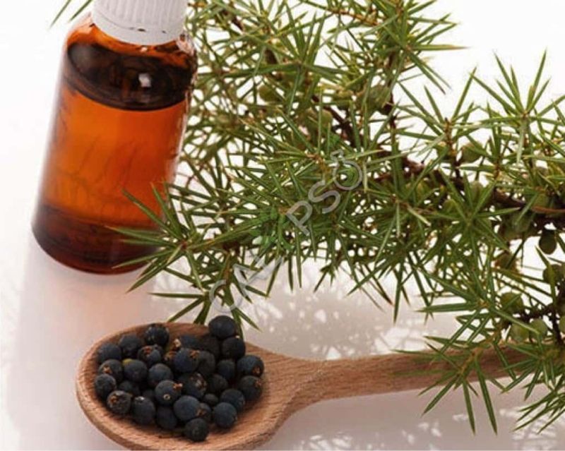 Juniper Berry Oil