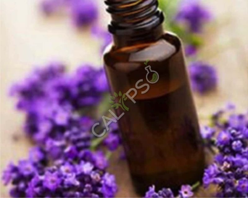 Lavender Brown Absolute Oil