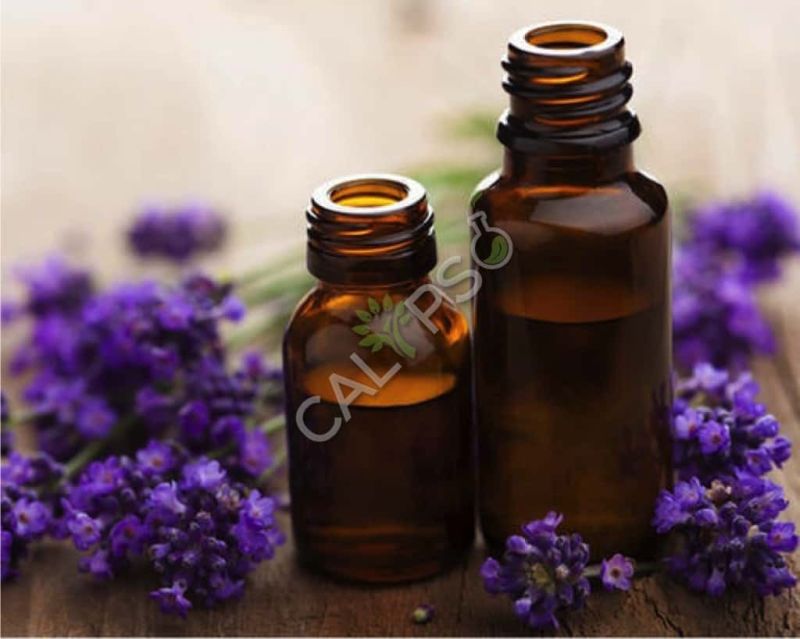 lavender oil