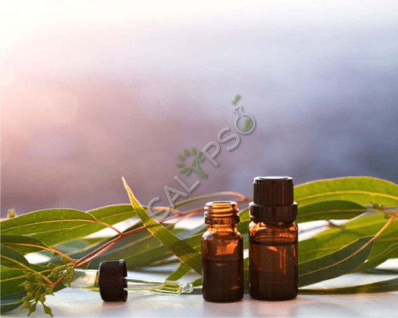 Massage Treatment Base Signature Blend Oil