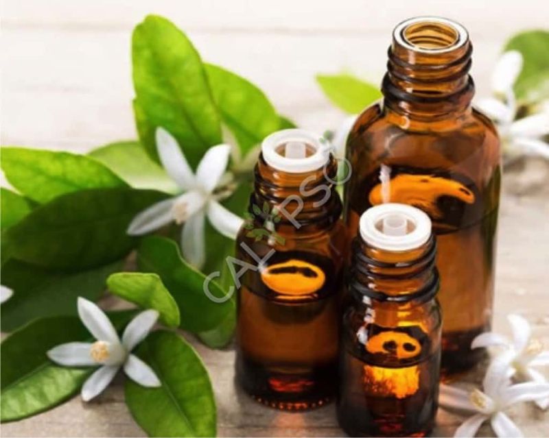 Neroli Absolute Oil