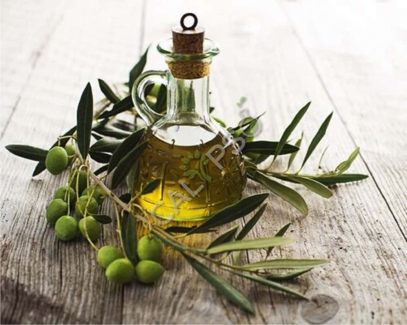 Olive Carrier Oil