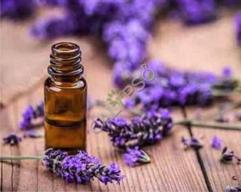 Organic Lavender Massage Oil