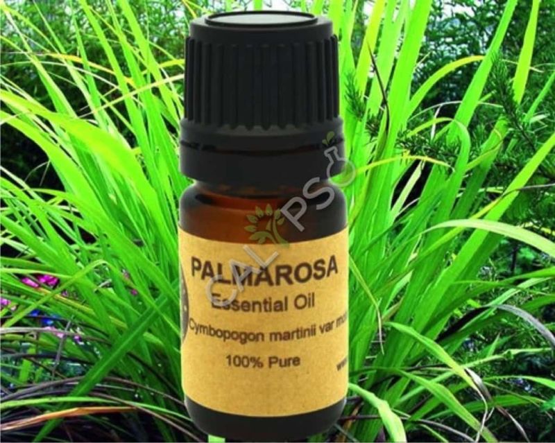 Palmarosa Oil