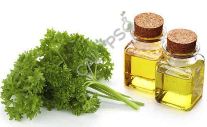Parsley Seed Oils