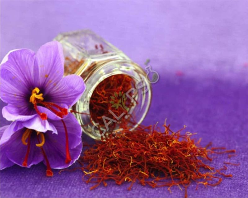 Saffron Oil