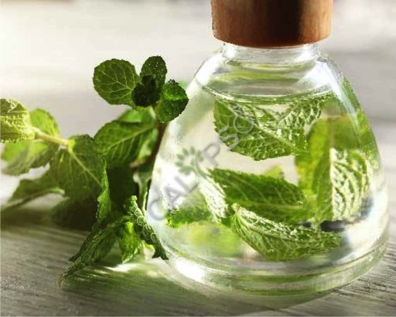 Spearmint Oil
