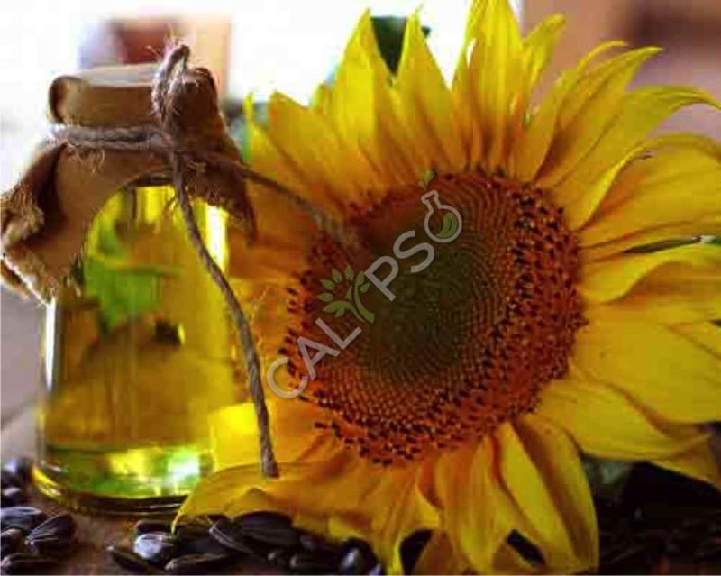 Sunflower Oil
