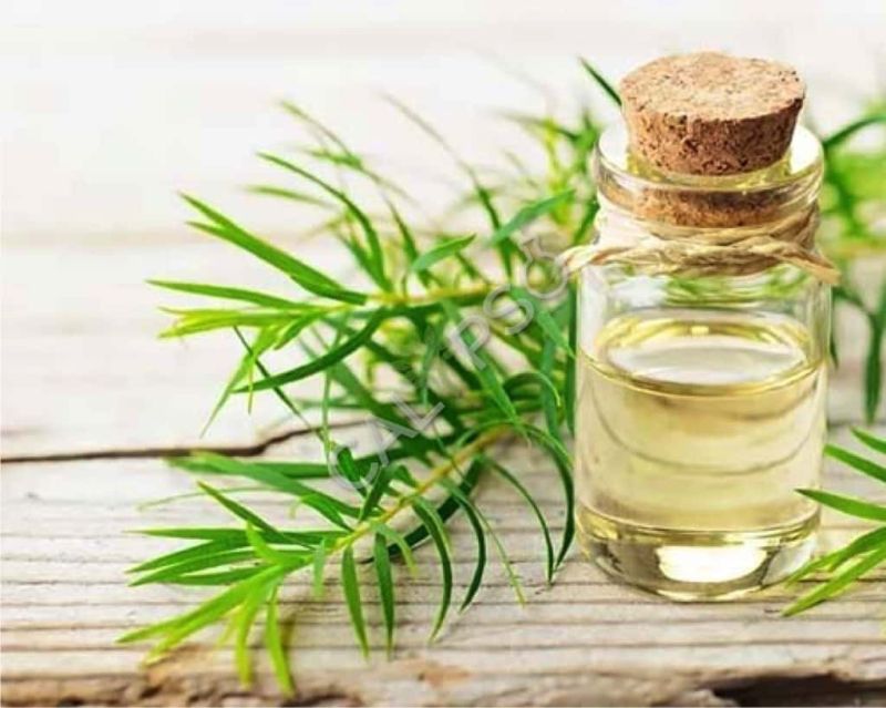 Thyme Oil