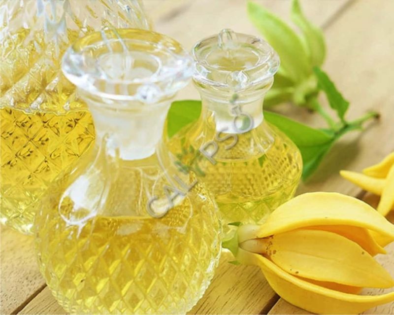 Ylang Ylang Oil