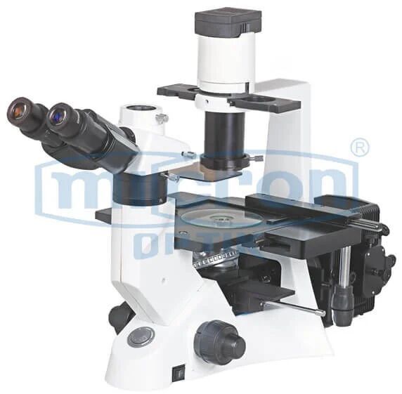 Inverted Fluorescence Microscope
