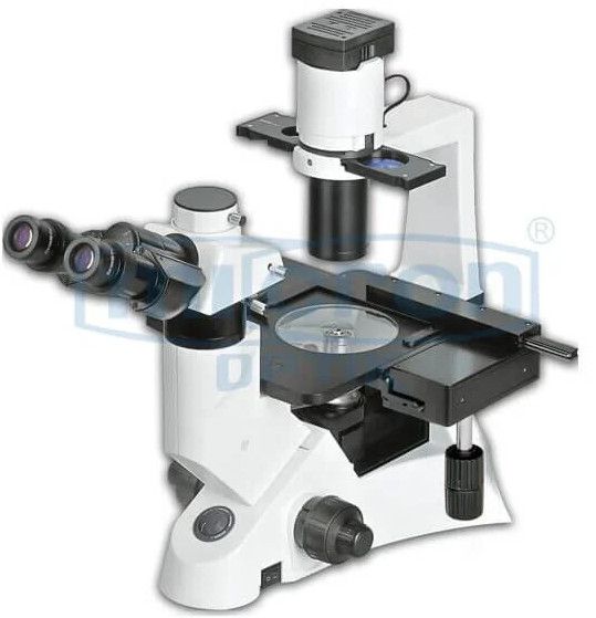 Inverted Microscope