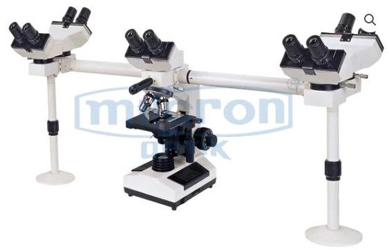 Penta Head Microscope