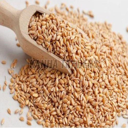 Organic Wheat Seeds