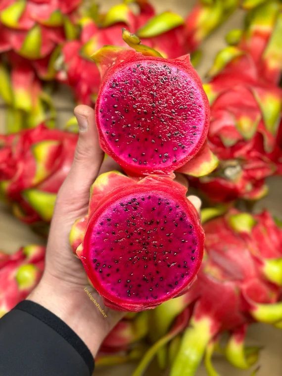 dragon fruit