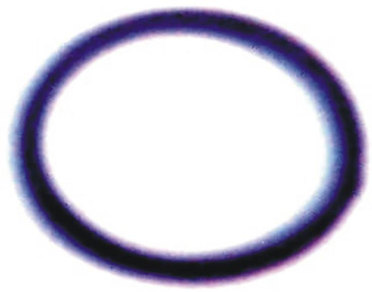 Head Ring - (se-090c)