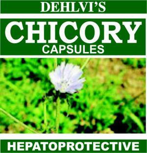 Chicory Capsules by Dehlvi Remedies Private Limited, chicory capsules ...
