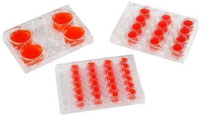 Tissue culture plates