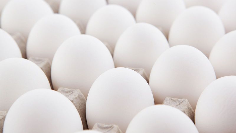 eggs