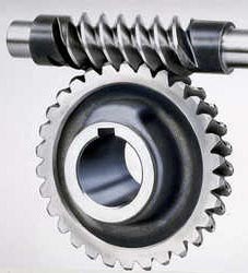 Worm Gear