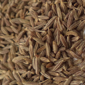 Cumin Seed