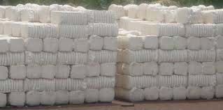 cotton bales
