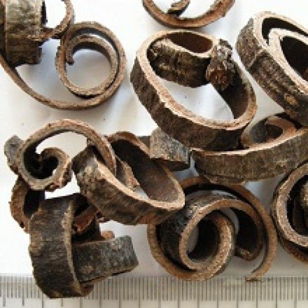 Magnolia Bark Extract