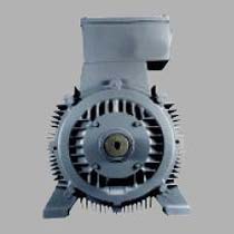 3 Phase Squirrel Cage Induction Motor (160M-355L)