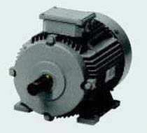 3 Phase Squirrel Cage Induction Motor (63-132M)