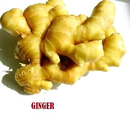 Fresh Ginger
