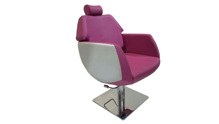 Elegant Reclining Salon Chair