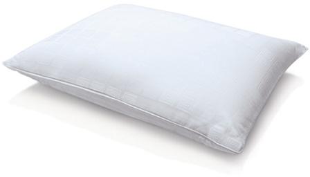 Aster 27” X 17” Pillow