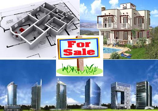 Property Dealer Services