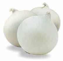 Fresh White Onion