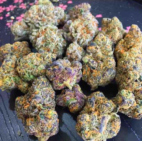 Ak 47 Pain Relief products contact wickr id medshop20