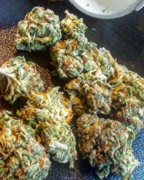 Blueberry Kush contact wickr ID medshop20