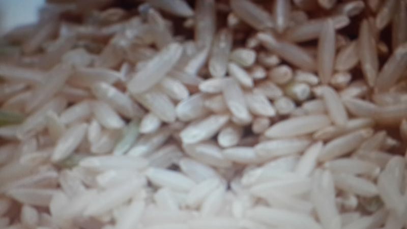 Brown Raw Basmati Rice