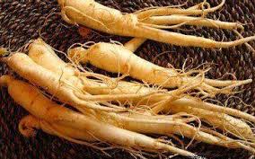 Panax Ginseng Extracts