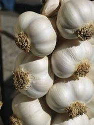 Fresh garlic, Packaging Size : 5 Kg
